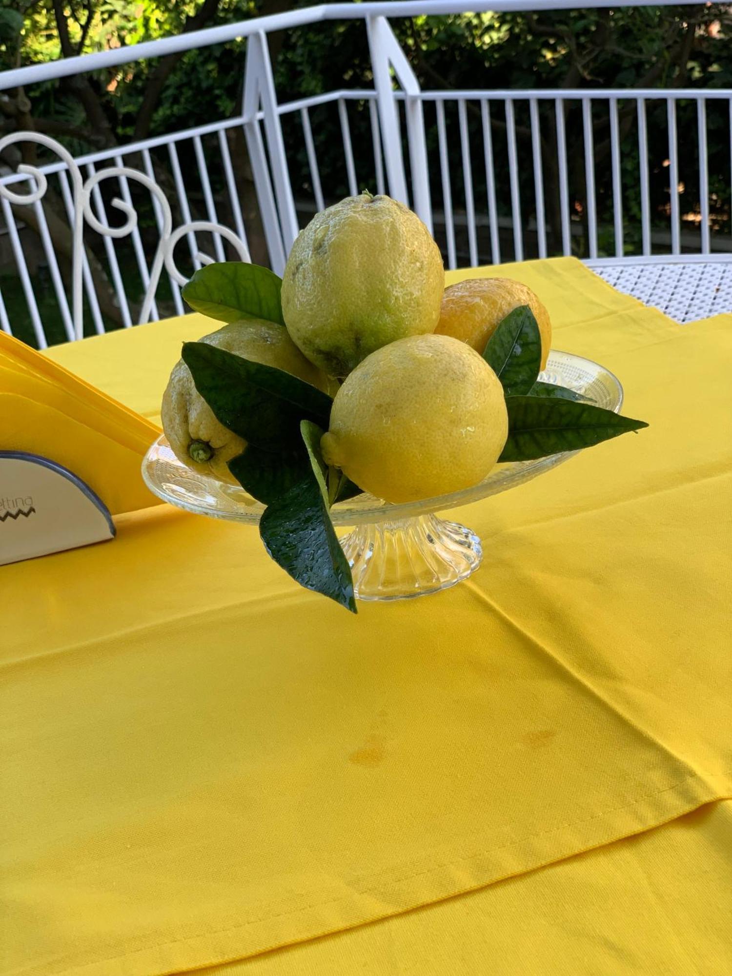 סורנטו Villa Cettina Boutique Hotel מראה חיצוני תמונה